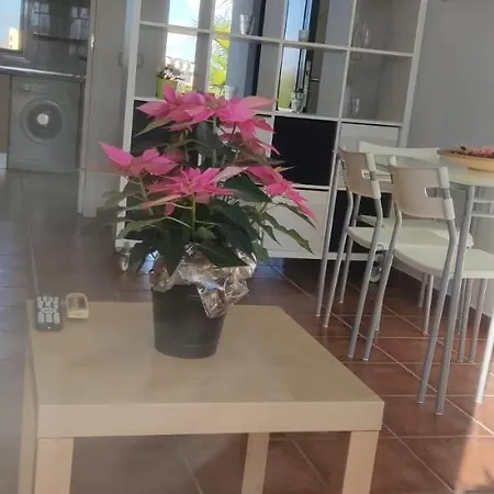 Apartment Naturist Penthouse 2 Bedrooms Pv5