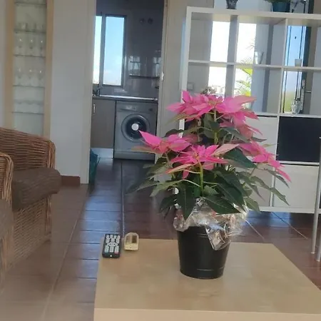 Apartment Naturist Penthouse 2 Bedrooms Pv5 Vera